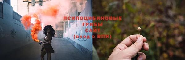 дживик Нягань
