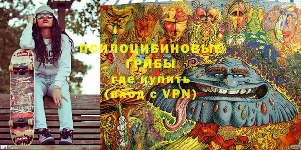 дживик Нягань