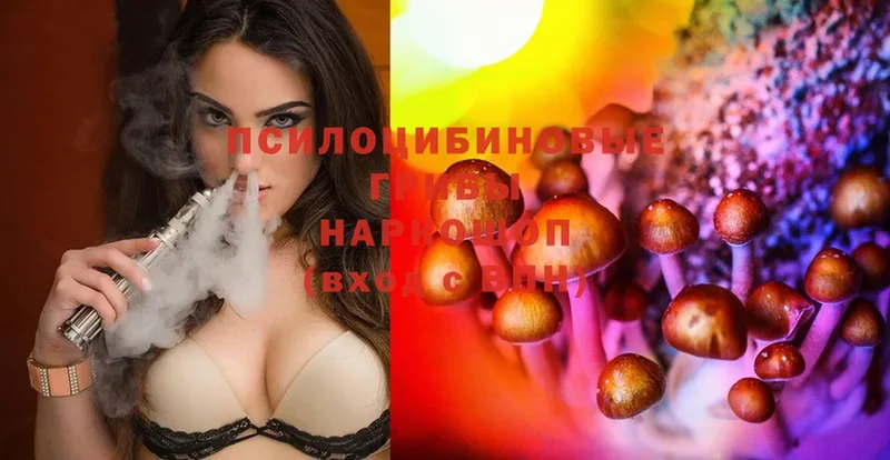 Псилоцибиновые грибы Cubensis  кракен онион  Котовск 