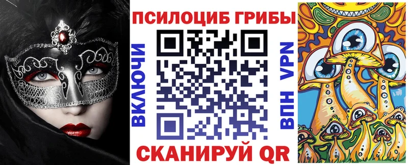 Псилоцибиновые грибы Psilocybine cubensis  где найти наркотики  Котовск 