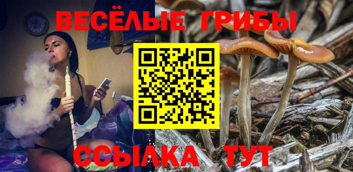 Галлюциногенные грибы MAGIC MUSHROOMS  Вход с VPN  Галлюциногенные грибы Cubensis  магазин    Котовск 