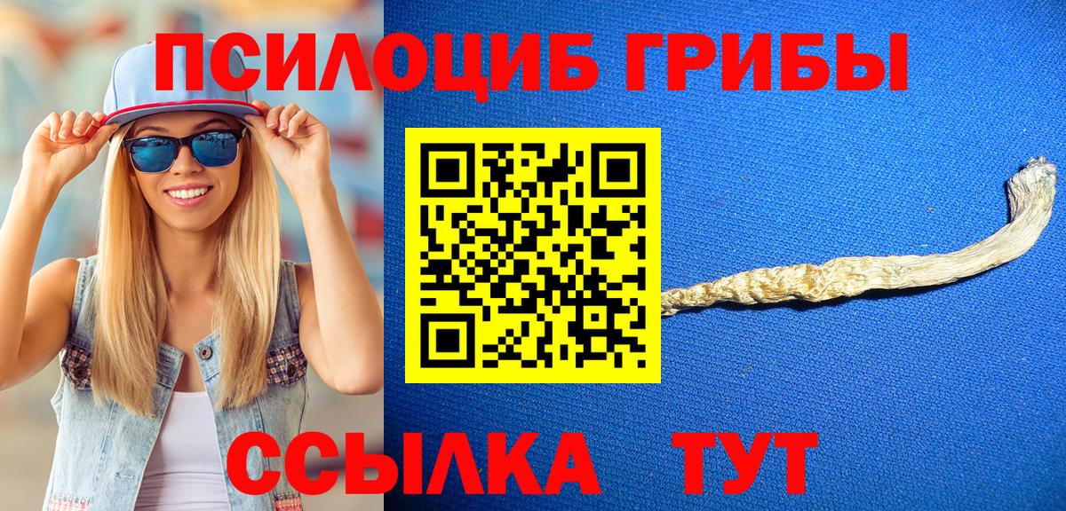 Галлюциногенные грибы ЛСД  Галлюциногенные грибы ЛСД  Котовск 